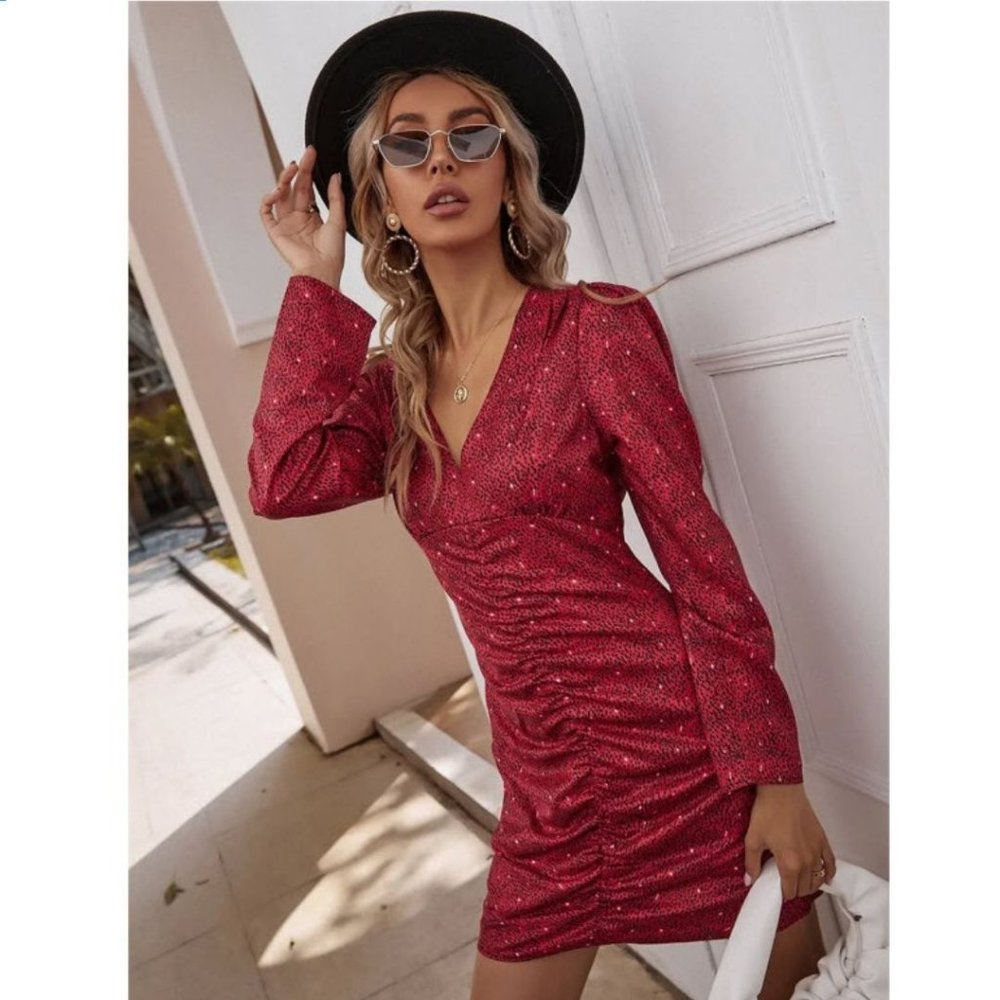 ZARA PRINT DRESS
